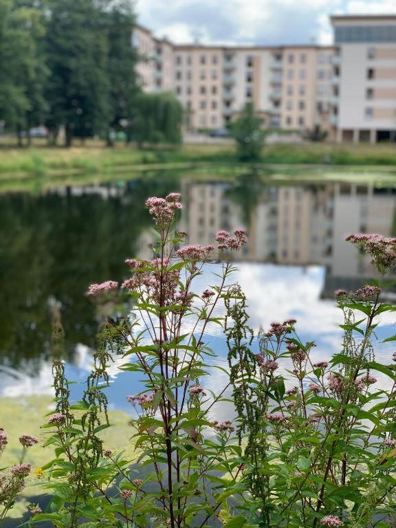 Europa22 Apartament "Sen Jak W Pieciogwiazdkowym Hotelu" - Centrum Miasta Tomaszów Mazowiecki エクステリア 写真